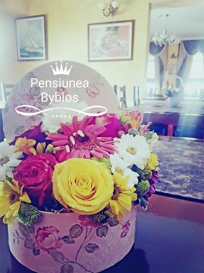 Pensiunea Byblos П'ятра-Нямц Екстер'єр фото